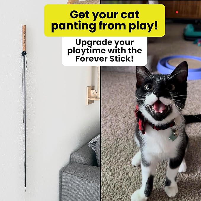 Forever Stick - The Unbreakable Cat Toy Wand, Extra Long Durable Interactive Cat Toy for Indoor Cats, Feather Kitten Toys for Bored Indoor Adult Cats, Bird Teaser Cat Accessories Enrichment-PurrikoPets