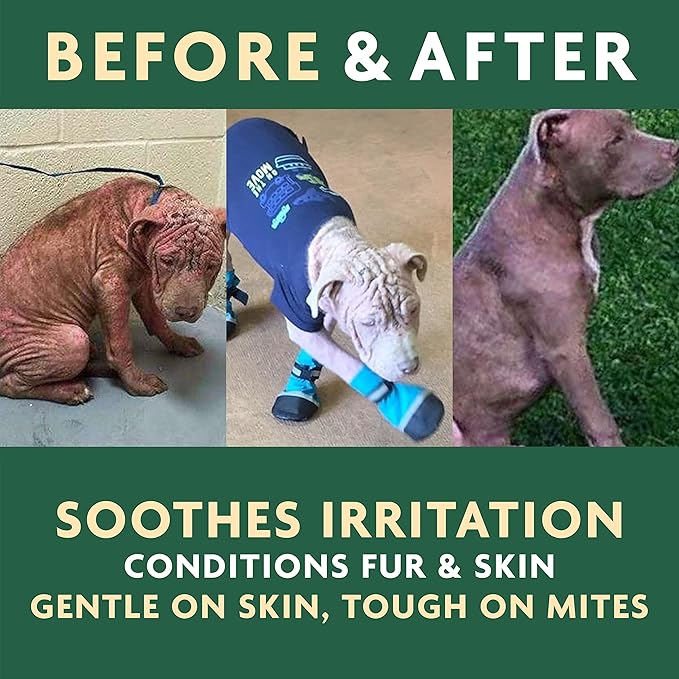 EcoMange Mange Relief for Dogs & Cats – 8 Oz. Cat & Dog Itch Relief, Sarcoptic & Demodectic Mite Spray – Herbal Extract & Essential Oil Itch Relief for Dogs – Natural Cat & Dog Sprays by Vet Organics-PurrikoPets