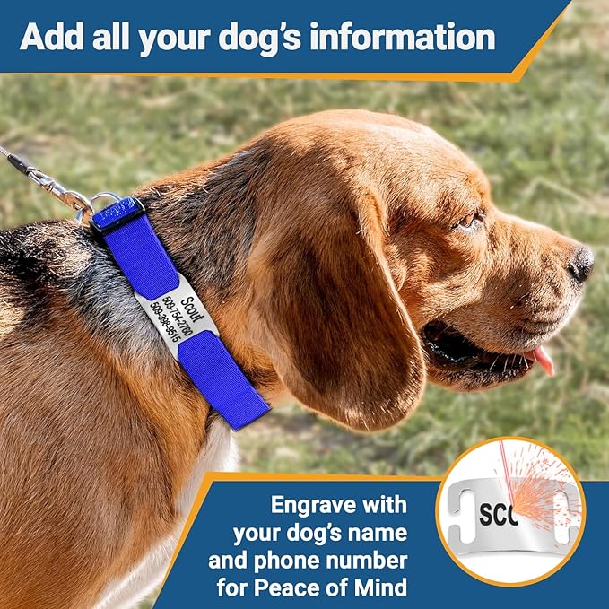 GoTags Reflective Personalized Dog Collar with Nameplate, Adjustable Dog Collar with Custom Engraved Steel Slide On Pet ID Tag, Silent, No Noise Dog Tag for Large Medium or Small (Orange, Medium)-PurrikoPets