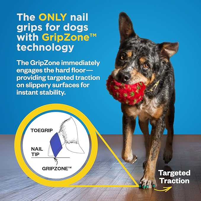 Dr Buzby's XXXLarge ToeGrips for Dogs - Instant Traction on Wood/Hardwood Floors - Anti Slip Relief - Grippers for Senior Dogs - Stop Sliding Instantly - Rubber Nails for Paws - 1 Pack (20 Grips)-PurrikoPets