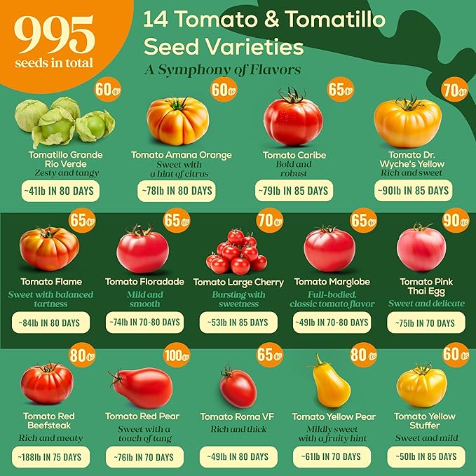 14 Tomatillo & Tomato Seeds for Planting Variety Pack - 990+ Non-GMO Heirloom Vegetable Seeds for Growing Tomato Indoor & Outdoor: Cape Gooseberry, Cherry, Flame, Roma, Beefsteak Tomatoes-PurrikoPets