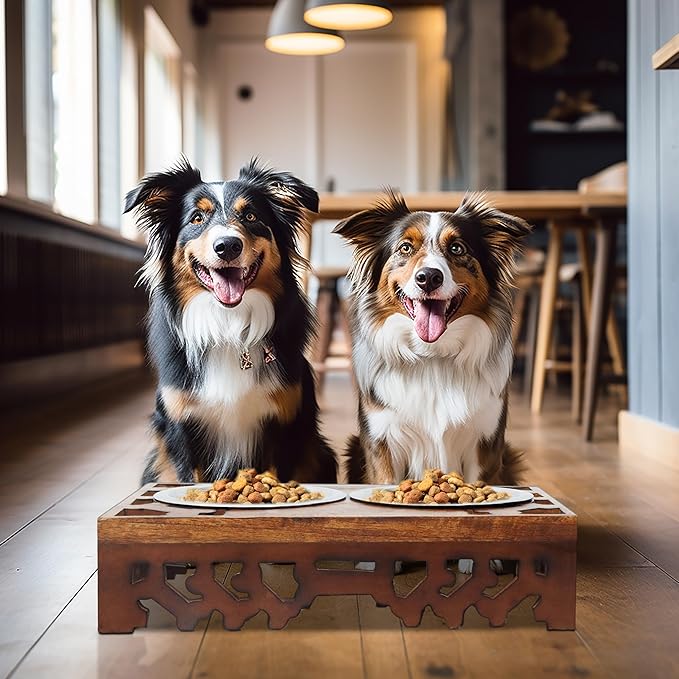 Elevated Pet Feeder for Dogs and Cats - Hand Carved Wood Bones Raised Dog Bowl Stand - Pet Feeding Stand with Two Steel Bowls - Raised Dog Bowl for Food Water - Pet Feeding Station -17x11x4- IRONGATE-PurrikoPets