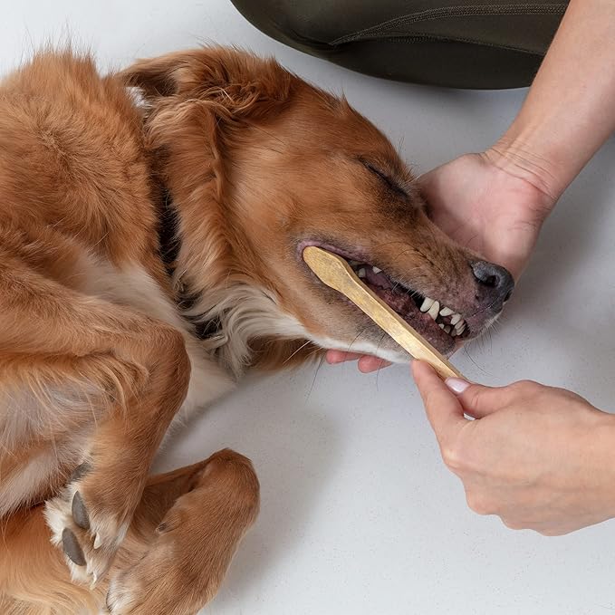 Dog Toothbrush I 4-Pack Two Sided Bamboo Toothbrush for Small and Large Dogs & Cats I Soft Bristles Gentle for Easy Dog Teeth Brushing & Dental Care-PurrikoPets