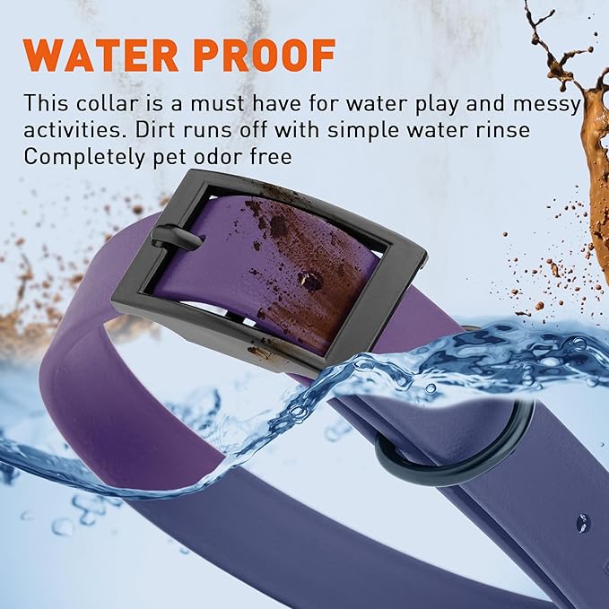 Dogline Biothane Waterproof Dog Collar Strong Coated Nylon Webbing with Black Hardware Odor- Proof for Easy Care Easy to Clean High Performance Fits Small Medium or Large Dogs, Violet Purple-PurrikoPets