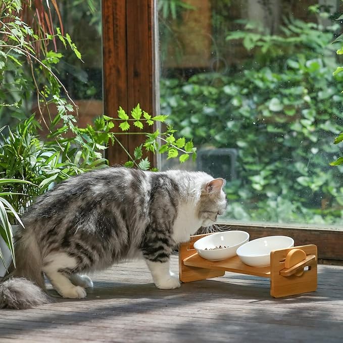 FUKUMARU Elevated Cat Ceramic Bowls, Small Dog 15° Tilted Raised Food Feeding Dishes, Solid Bamboo Water Stand Feeder Set for Cats and Puppy-PurrikoPets