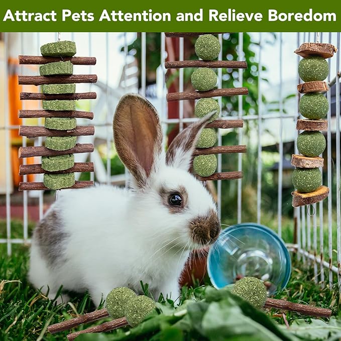 3 Pcs Bunny Chew Toys with 3 Pcs Rabbit Chew Lollipop for Teeth Grinding, Improve Dental Health, Treats for Rabbits Guinea Pigs Chinchillas Bunnies Hamsters-PurrikoPets