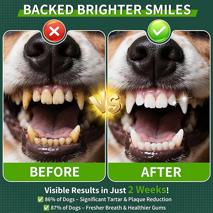 2 Pack Dog Dental Powder, Dog Teeth Cleaning Powder with Natural Herbal Blend & Postbiotics, Dental Powder for Dogs Teeth, Targets Tartar & Reduces Plaque & Bad Breath for Dogs & Cats, Mint -150Grams-PurrikoPets