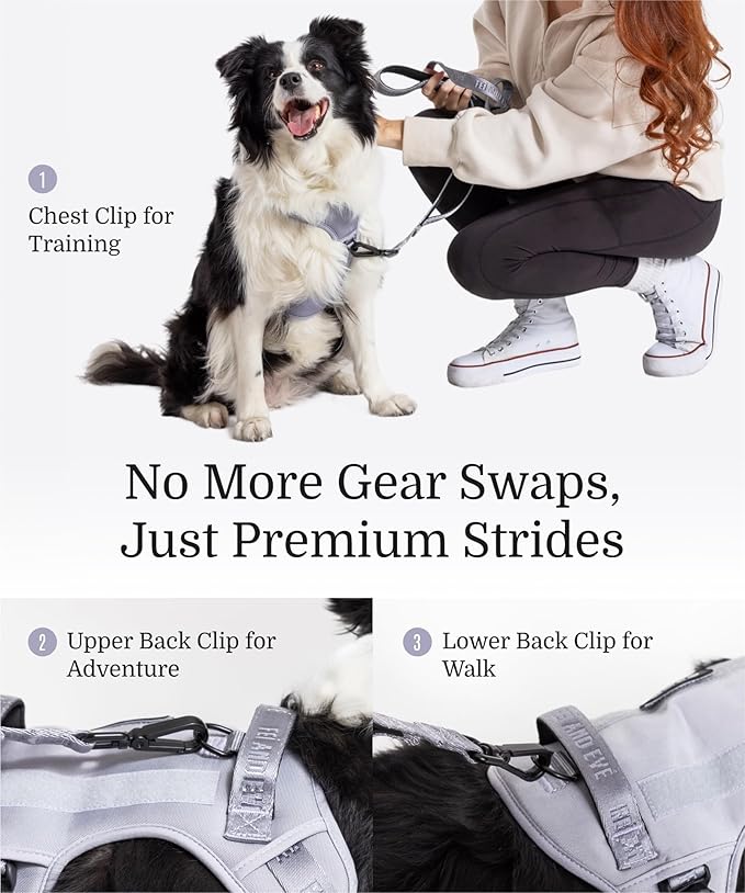 2025 New Edition, Fei & Eve MagEase Dog Harness - 3-Second Magnetic Buckles | 3-Point No-Pull Control | Heavy-Duty 900D Nylon | Dual Safety Handles | Breathable Mesh | Adjustable Fit | Medium, Gray-PurrikoPets
