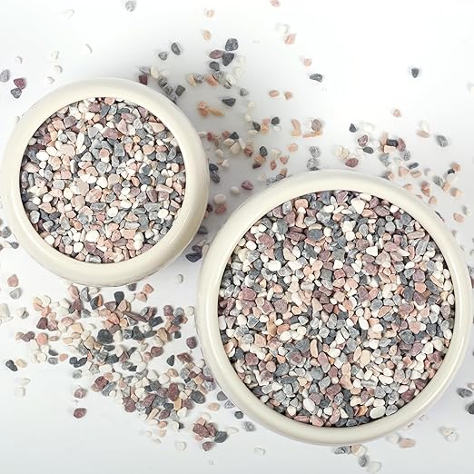 10lbs Natural Gravel Pebbles for Succulents and Cacti, 1/5 Inch Decorative River Stones – Perfect for Vases, Aquariums, Terrariums, and Outdoor Gardening, Mixed Colors (Mixed, 10 Pounds)-PurrikoPets