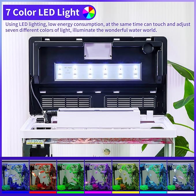 Glass Aquarium Fish Tank Starter Kit with Temperature and Time Display for Betta Fish Featuring Crystal Clear 360° Viewing, Eco-Cycle Filtration, Air Pump 12 Gallon-PurrikoPets