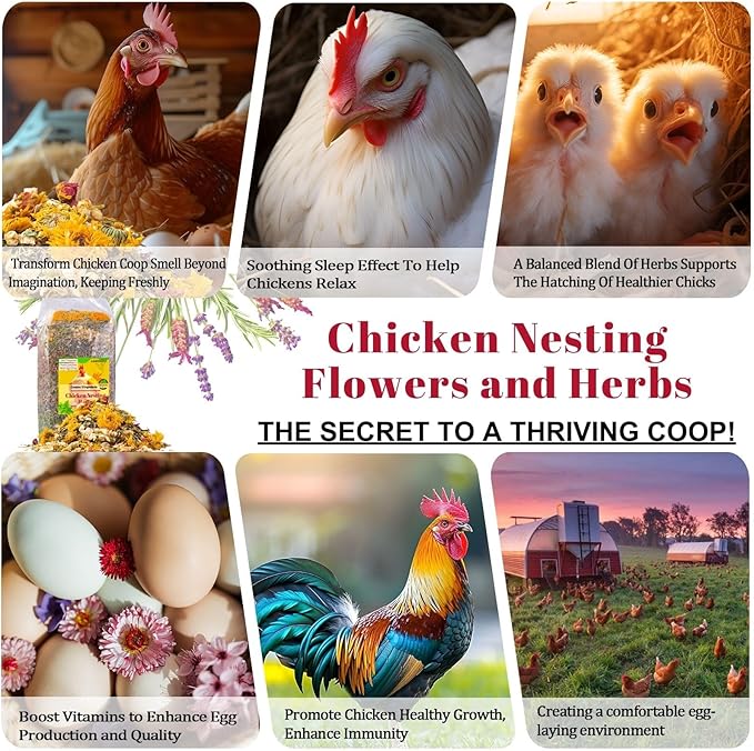 21 oz Chicken Nesting Herbs Flowers - 1.3lb Poultry Blend Herbs 12 Premium Nesting Box Herbs for Chicken Coop Refresher Boost Egg Laying Hens Herb Supplement for Backyard-PurrikoPets