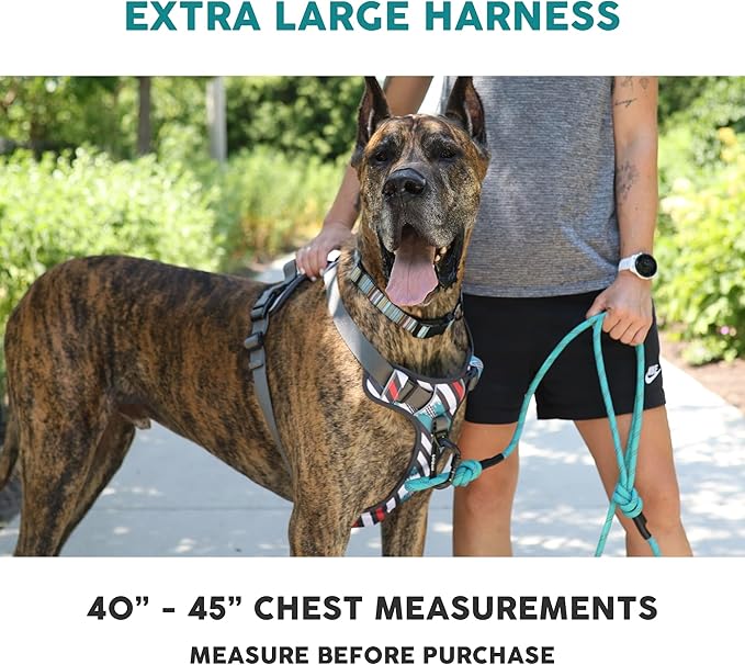 Embark Adventure Dog Harness, Reflective Trim XL Dog Harness for Extra Large Dogs No Pull - Military Grade Nylon, 2 Leash Clips & Gel Lined Handle. Soft & Padded Puppy Dog Harnesses for Any Breed-PurrikoPets