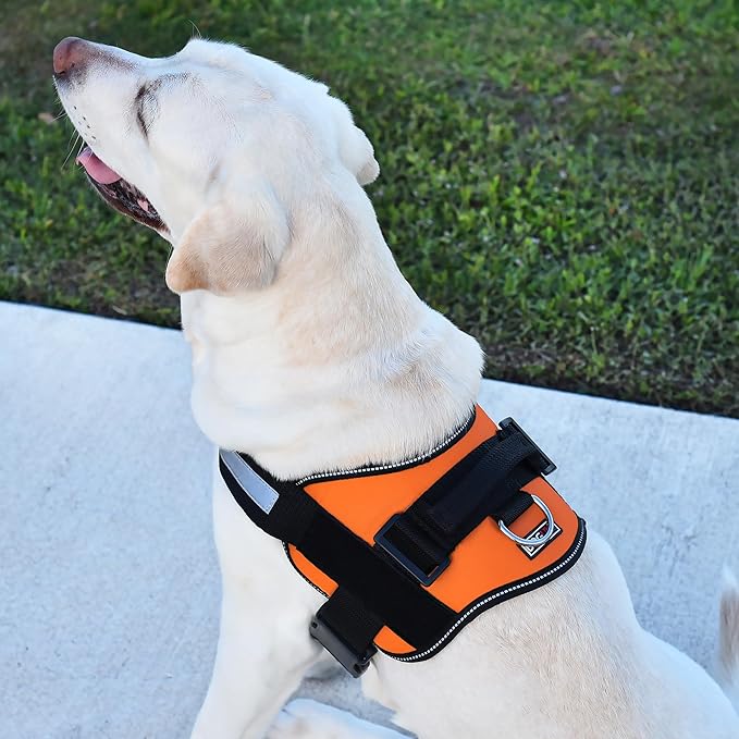Dogline Dog Harness, Reflective No-Pull Adjustable Vest with Handle for Walking, Training, Breathable, No - Choke Harness for Small, Medium or Large Dogs Room for Patches Girth 27 to 34 in Orange-PurrikoPets