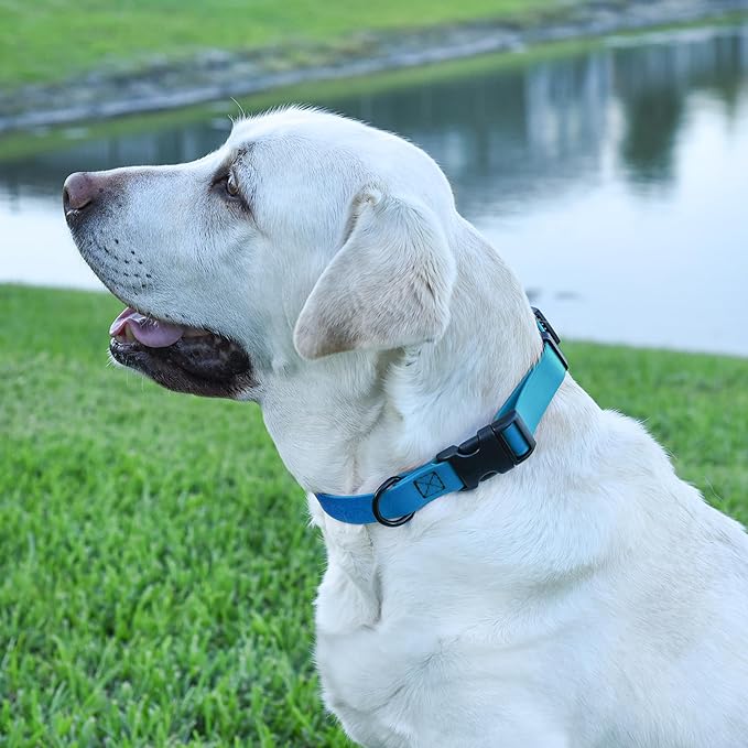 Dogline Biothane Waterproof Dog Collar with Quick Release Buckle Strong Coated Nylon Webbing with Odor- Proof for Easy Care Easy to Clean Fits Small Medium Large Dogs, Dogline Blue 5/8" W 9-14" L-PurrikoPets