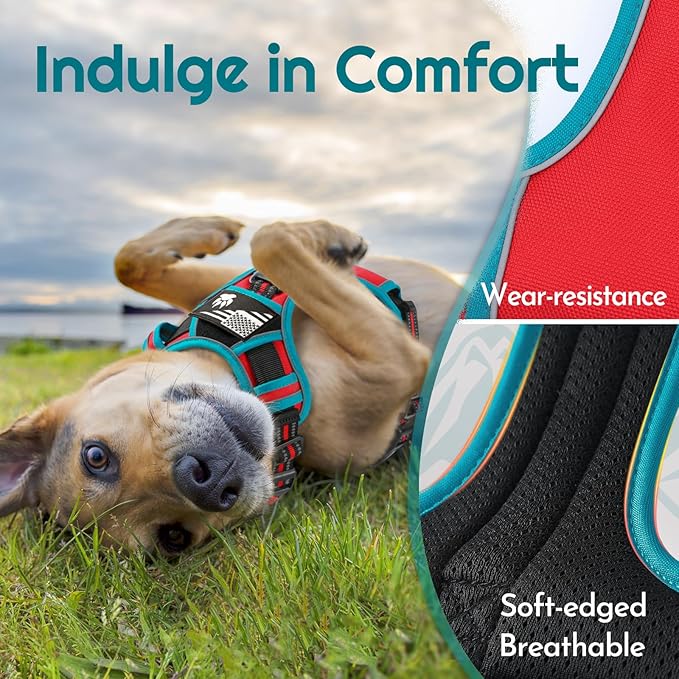 Eagloo Dog Harness Medium Sized, Easy Wearing with 3 Buckles, Adjustable No Pull Pet Harness with 2 Rings for Walking, No Chock Reflective Soft Padded Vest with Control Handle, Red & Teal, M-PurrikoPets