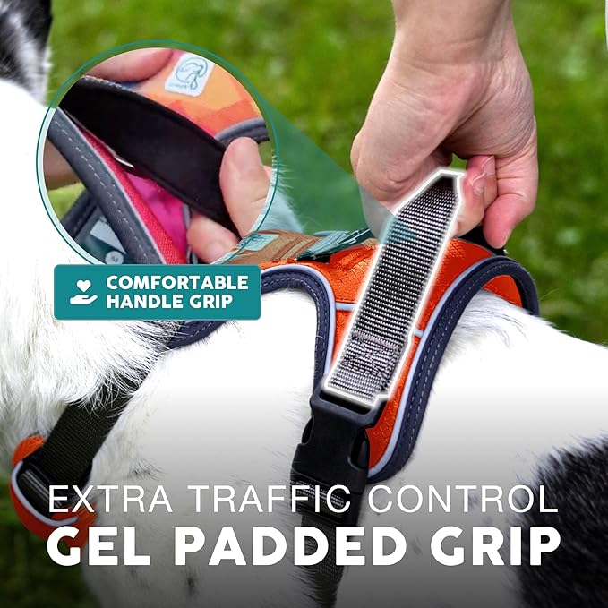 Embark Adventure Dog Harness, Reflective Trim No Pull Dog Harnesses for Small Sized Dogs - Military Grade Nylon, Front Clip with Gel Lined Handle. Soft & Padded Puppy-PurrikoPets