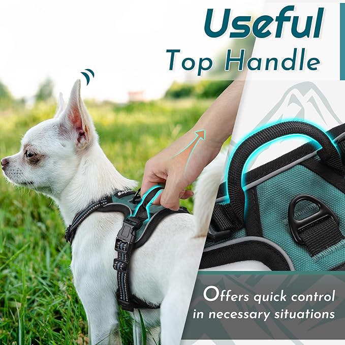 Eagloo Small Dog Harness No Pull, Service Vest with Reflective Strips and Control Handle, Adjustable and Comfortable for Walking, No Choke Pet Harness with 2 Metal Rings, Dark Green, XS-PurrikoPets