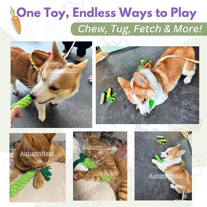 3PCS Green Woven Pet Chew Set, Dog Chew Accessories, Cat Interactive Chews, Safe & Durable Braided Chews for Dogs, Cats & More Pets-PurrikoPets