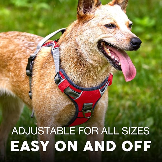 Embark Adventure Dog Harness, Reflective Trim No Pull Dog Harnesses for Small Sized Dogs - Military Grade Nylon, Front Clip with Gel Lined Handle. Soft & Padded Puppy-PurrikoPets