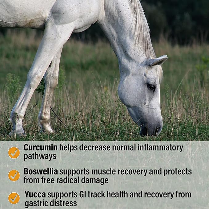 Absorbine Bute-Less Performance Advanced Formula Horse Supplement Pellets, Supports Healthy Inflammatory Response & GI Tract, 3.75lb Tub / 30 Day Supply-PurrikoPets