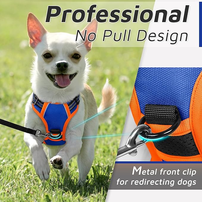 Eagloo Small Dog Harness No Pull, Service Vest with Reflective Strips and Control Handle, Adjustable and Comfortable for Walking, No Choke Pet Harness with 2 Metal Rings, Blue & Orange, XS-PurrikoPets