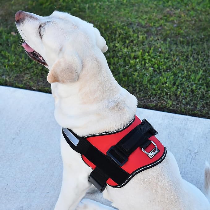 Dogline Dog Harness, Reflective No-Pull Adjustable Vest with Handle, Breathable No-Choke Harness for Small, Medium or Large Dogs Room for Patches Girth 27 to 34 in Red-PurrikoPets