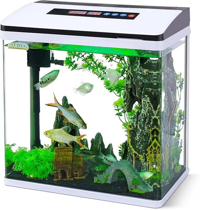8 Gallon Fish Tank Starter Kit: Glass Aquarium w/Eco-Cycle Filter, 7-Color LED & Air Pump for Betta. Features 360° Crystal View, Temp/Time Display & Quiet Operation All-in-One Aquarium Kit-PurrikoPets