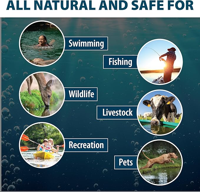 Airmax Twilight Blue Pond Dye 4X Concentrate for Outdoor Ponds & Lakes, Natural Pond Colorant & Beauty Enhancer, Block Ultraviolet Rays, Fish, Bird & Livestock Safe, Easy Liquid Application,1 Quart-PurrikoPets