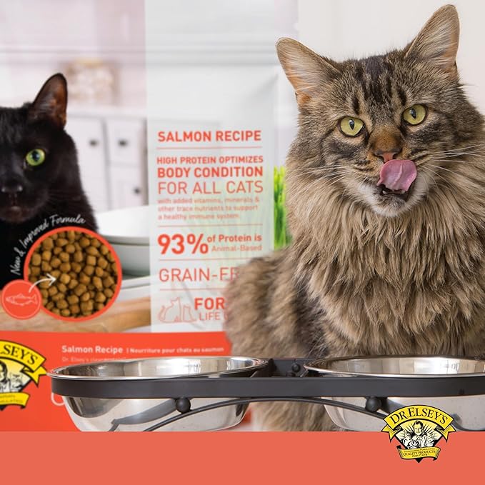 Dr. Elsey'S Cleanprotein Salmon Formula Dry Cat Food, 2 Pound (Pack of 1)-PurrikoPets
