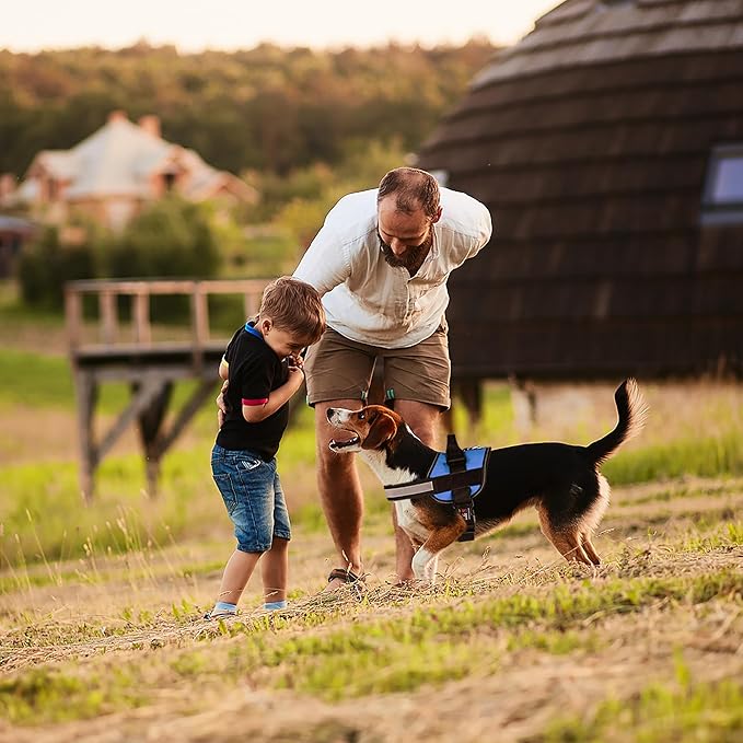 Dogline Dog Harness, Reflective No-Pull Adjustable Vest with Handle for Walking, Training, Breathable, No - Choke Harness for Small, Medium or Large Dogs Room for Patches Girth 22"-28" in Cyan Blue-PurrikoPets