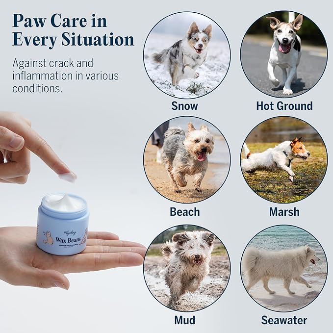 Flydog Wax Beans Fragrance-Free Pet Paw & Nose Balm Cream – Moisturizing, Soothing & Repairing Dry, Cracked Pads for Dogs, Cats & Small Animals, Avocado Oil Multi-Purpose Paw & Nose Protector, 50ml-PurrikoPets