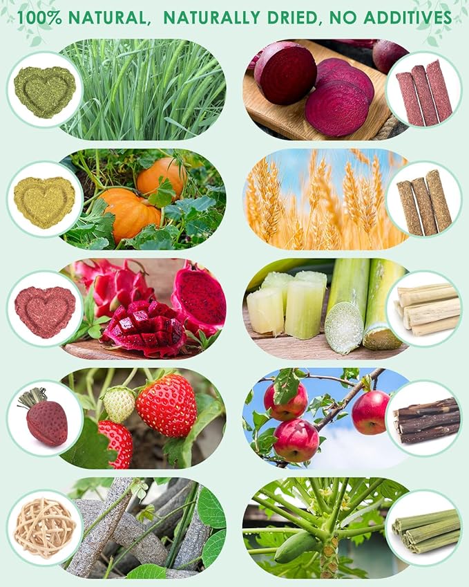 ERKOON 53 Bunny Chew Toys for Rabbits Teeth, Natural Rabbit Toys Apple Wood Sticks, Carrot, Timothy Grass for Small Pets, Hamster, Chinchilla, Guinea Pig Dental Care and Treat Teething(53)-PurrikoPets