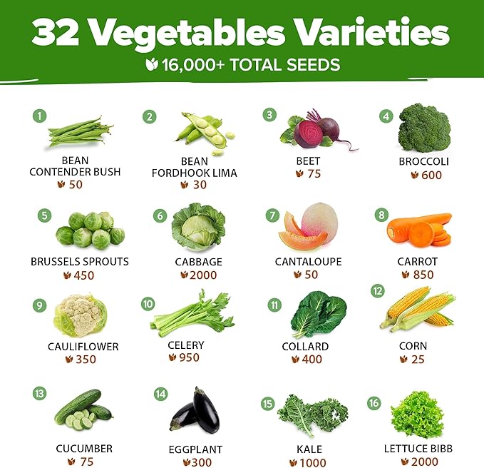 32 Heirloom Vegetable and Fruit Seeds for Planting - 16,000+ Seeds | Non-GMO Survival Seed Vault | High Germination | 32 Varieties of Vegetable Seeds for Your Home Survival Garden-PurrikoPets