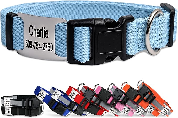 GoTags Personalized Dog Collar with Nameplate, Adjustable Dog Collar with Custom Engraved Slide On Pet ID Tag in Stainless Steel, Silent, No Noise Dog Tag (Light Blue, Large)-PurrikoPets