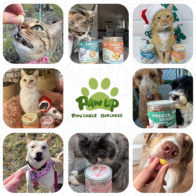 Freeze Dried Dog Treats,Chicken Breast&Organs Recipe Raw Dog Food Topper, High Protein Freeze-Dried Food for Cats, Rawhide Free, Gluten&Grain Free, 5.3oz-PurrikoPets