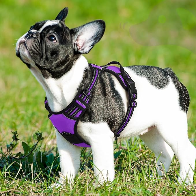 Eagloo Dog Harness Small Sized Dog, No Pull Service Vest with Reflective Strips and Control Handle, Adjustable and Comfortable for Walking, No Choke Pet Harness with 2 Metal Rings, Purple, S-PurrikoPets
