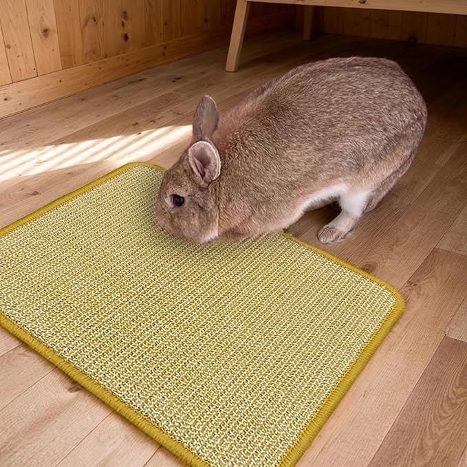 DYAUS Bunny Scratch Pad, Natural Sisal Rabbit Scratching Mat for Claws and Teeth Care, Indoor Bunny Chew Toys Bunny Bed for Biting Sleeping Nesting (1PC, 16x12in)-PurrikoPets