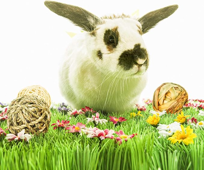 9 Pcs Small Animals Play Balls Rolling Activity Chew Toys Gnawing Treats for Rabbits Guinea Pigs Chinchilla Bunny Natural Balls, Pet Cage Entertainment Accessories (9 Pcs)-PurrikoPets