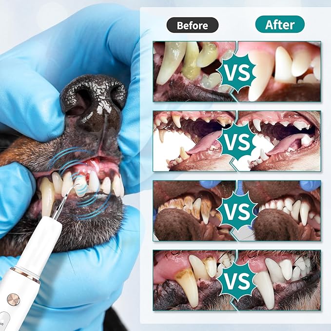 Dog Plaque Tartar Remover, Electric Toothbrush Teeth Cleaner Dental Care Kit for Dogs Cats- 5 Modes LED IPX6 Waterproof Auto-Stop Gum Protection USB Charge, 3 Brush Heads, Pet Teeth Cleaning Tools-PurrikoPets