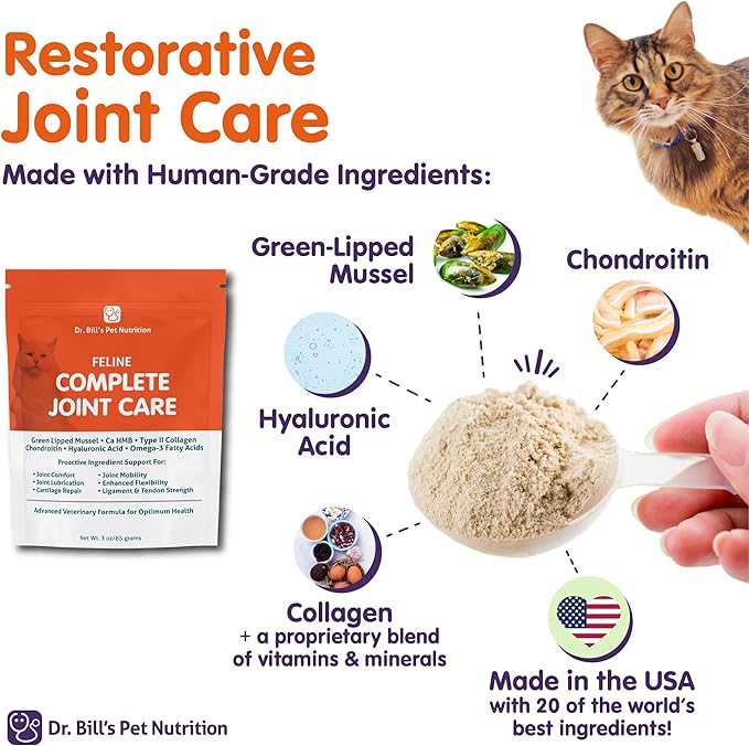 Dr. Bill’s Feline Complete Joint Care | Advanced Hip & Joint Supplement for Cats | Green Lipped Mussel Extract, Collagen Type II, Chondroitin, Hyaluronic Acid, Omega 3 and Colostrum | Powder, 85g-PurrikoPets