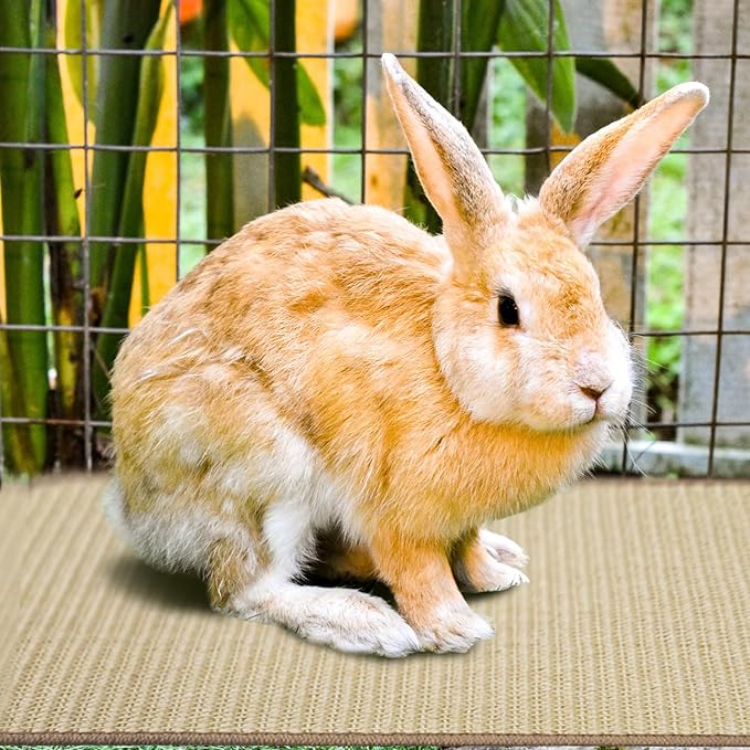 2Pcs Rabbit Scratch Mat,16 x 12 Inch Sisal Rabbit Scratching Pad,Rabbits Scratching Mats for Cages,Claws and Teeth Care Rabbits Chew Toys,Small Pet Bedding for Biting Sleeping Nesting-PurrikoPets