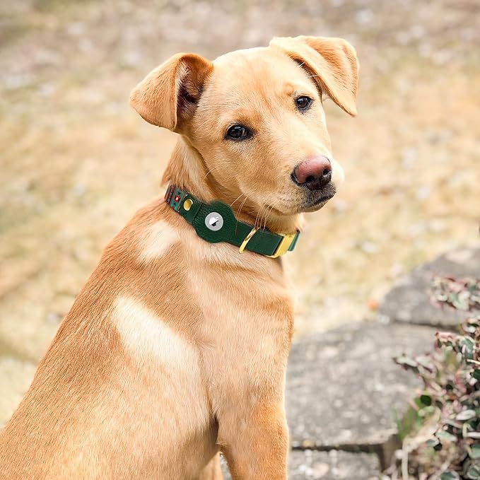 AirTag Dog Collar for Small Medium Large Breed - Adjustable Cute Pattern Dog Collar with Airtag Holder - Soft Leather Tracker GPS Apple Air Tag Pet Collars (X-Large, 20"-25" Neck Fit, Tribal)-PurrikoPets