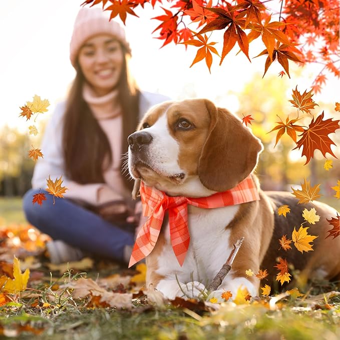 Abbylike 50 Pcs Fall Plaid Dog Bandanas Bulk Autumn Bandanas for Dogs Triangle Kerchief Bibs Scarf for Small Medium Large Pets Thanksgiving Costume Accessories, 25 Styles (25.6 x 17.7 x 17.7 Inch)-PurrikoPets