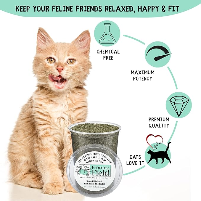 from The Field | Fine Ground Stalkless Catnip | Premium USA-Grown Catnip for Toys & Playtime | Fresh, Potent, Non-Toxic, Eco-Friendly | Safe for Kittens & Cats | Resealable 3.5 oz Tub-PurrikoPets