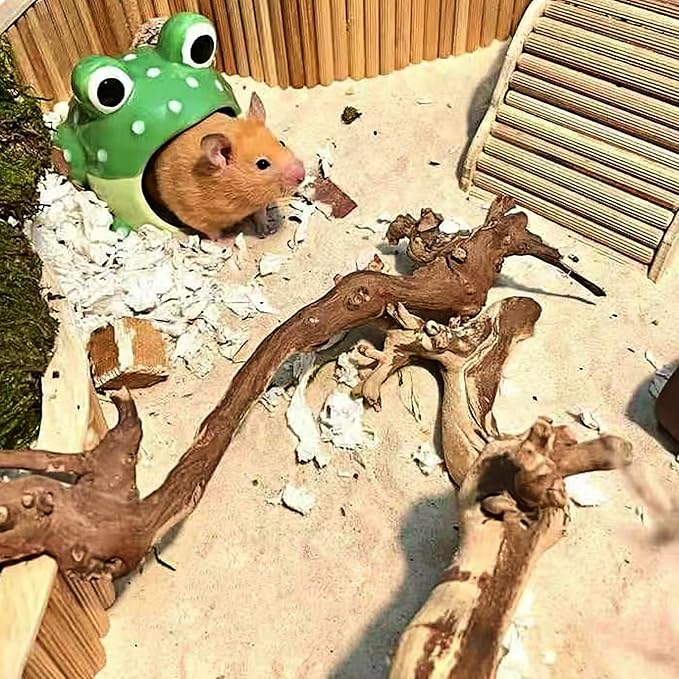 DR.DUDU Hamster Bath Sand, 2.8lb Dust Free Desert Sand or Potty Litter Sand for Hamster Chinchillas Gerbil Syrian Mice Small Animals (Beige, Flower Smell)-PurrikoPets