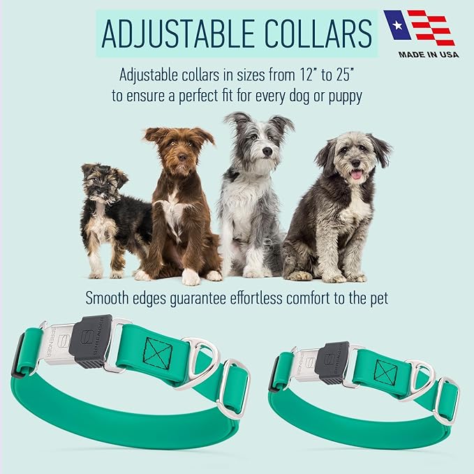 Dogline Biothane Waterproof Dog Collar with Herm Sprenger Black Stainless Steel Quick Release Buckle – Heavy Duty Tactical Durable Collar for Dogs – Comfortable and Safe Pet Collar W 3/4" L12-19 Teal-PurrikoPets