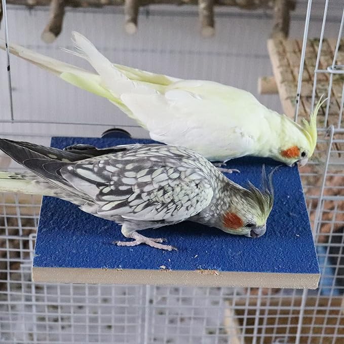 7.9×5.9 Inches Large Bird Perch Stand Platform, Natural Wooden Bird Cage Accessories, Bird Stand Perch with Rough Quartz Sand Surface for Parrot, Parakeet, Budgies, Cockatiel, Rats-PurrikoPets