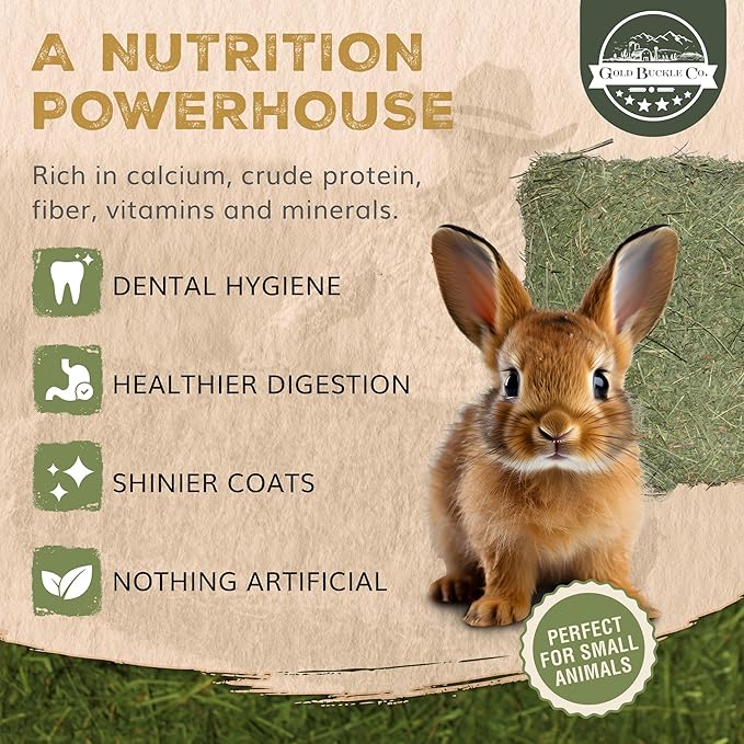 40lb Freshly Dried Organic Alfalfa Hay for Guinea Pigs, Rabbits, Chinchillas, Goats, Hamsters & Ferrets, Small Animal Food Rich in Protein & Fiber, Hand-Selected, Hand sorted, USA Grown-PurrikoPets