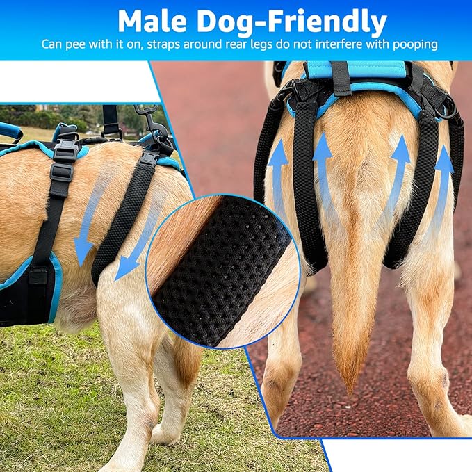 Dog Lift Harness for Large Male Dogs, 2-in-1, Back Leg Support & Mobility Assistance for Senior Dogs, Post-Surgery Recovery Sling(Black, Large)-PurrikoPets
