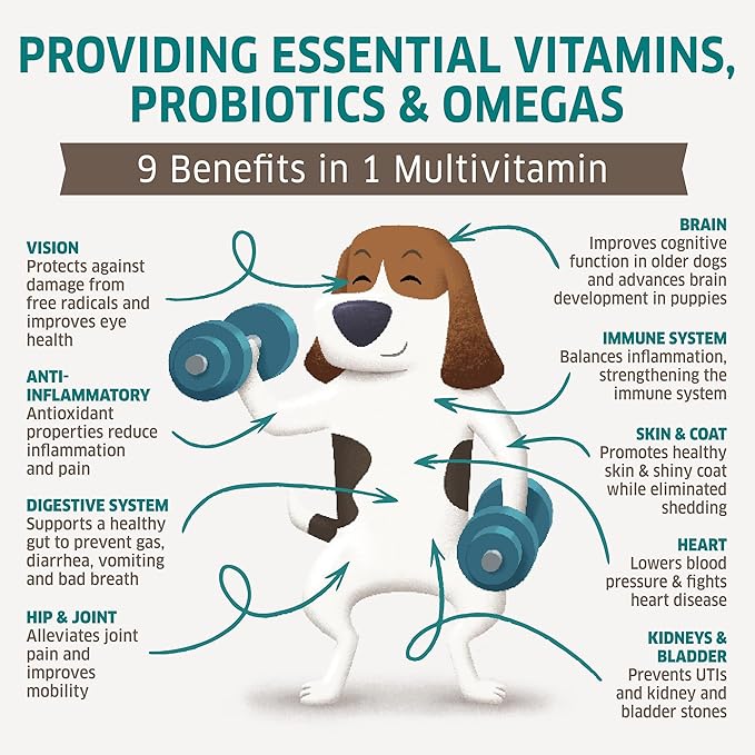 Dog Multivitamin - Dog Vitamins and Supplements - Digestive Enzymes & Probiotics - Probiotics for Dogs - for Skin and Coat Allergies - Immune System & Overall Health - 120 Soft Chew Dog Treats-PurrikoPets